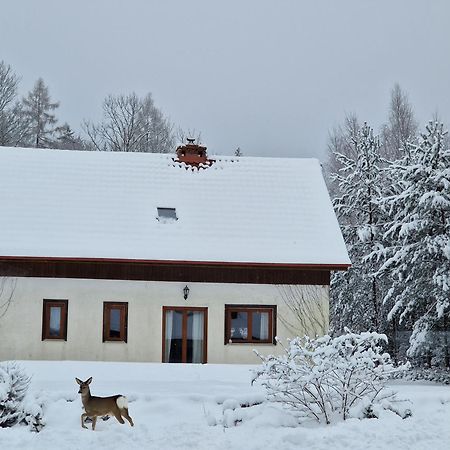 Dom Na Pstraznicy Villa Kudowa-Zdroj Dış mekan fotoğraf