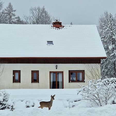 Dom Na Pstraznicy Villa Kudowa-Zdroj Dış mekan fotoğraf