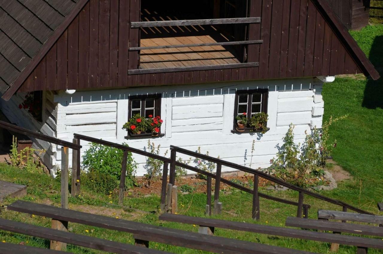 Dom Na Pstraznicy Villa Kudowa-Zdroj Dış mekan fotoğraf