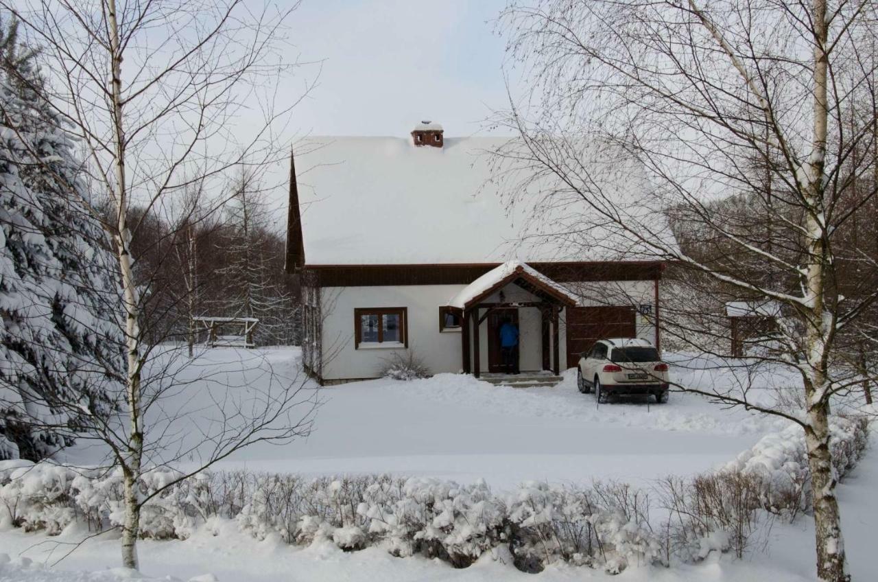 Dom Na Pstraznicy Villa Kudowa-Zdroj Dış mekan fotoğraf
