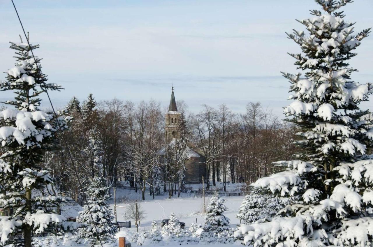 Dom Na Pstraznicy Villa Kudowa-Zdroj Dış mekan fotoğraf
