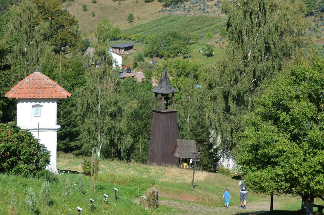 Dom Na Pstraznicy Villa Kudowa-Zdroj Dış mekan fotoğraf