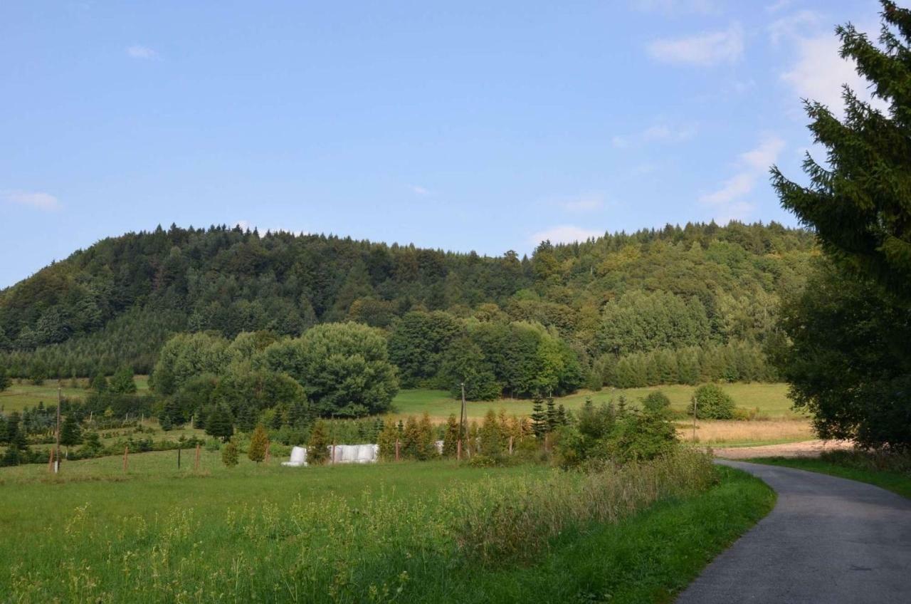 Dom Na Pstraznicy Villa Kudowa-Zdroj Dış mekan fotoğraf